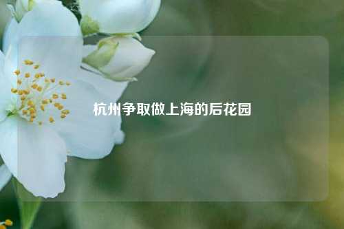 杭州争取做上海的后花园