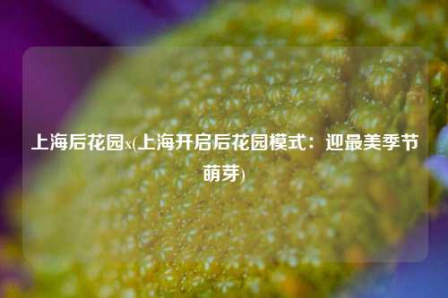 上海后花园x(上海开启后花园模式：迎最美季节萌芽)