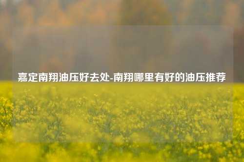 嘉定南翔油压好去处-南翔哪里有好的油压推荐