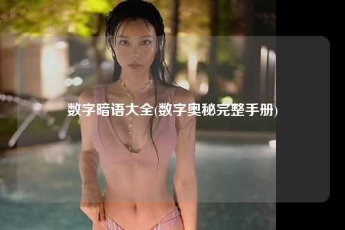 数字暗语大全(数字奥秘完整手册)