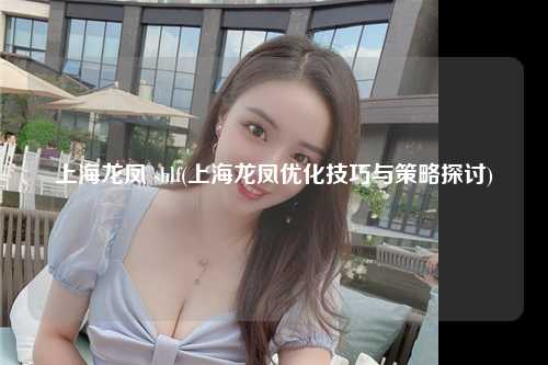 上海龙凤 shlf(上海龙凤优化技巧与策略探讨)