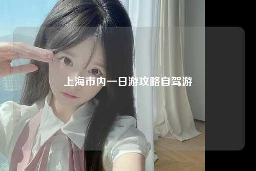上海市内一日游攻略自驾游