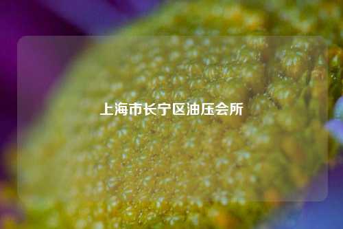 上海市长宁区油压会所