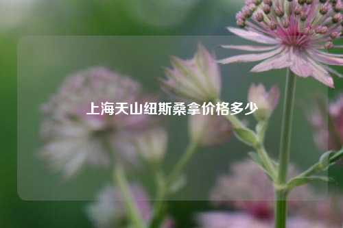 上海天山纽斯桑拿价格多少