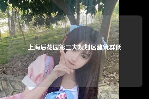 上海后花园第三大规划区建筑群低