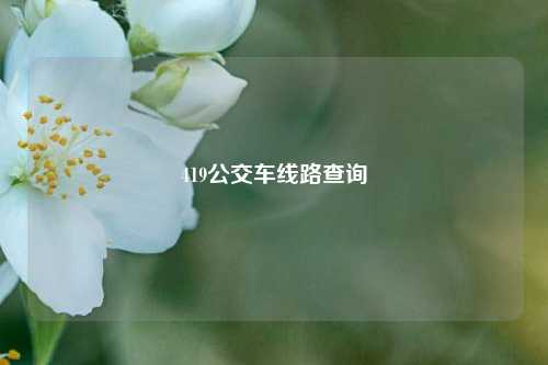 419公交车线路查询