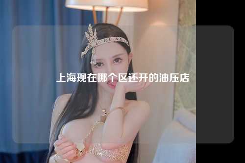 上海现在哪个区还开的油压店