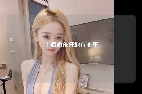 上海浦东好地方油压