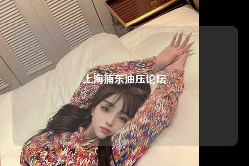上海浦东油压论坛
