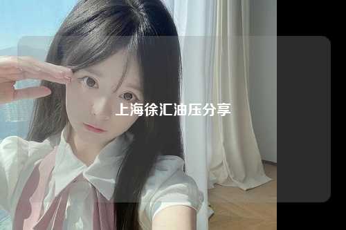 上海徐汇油压分享