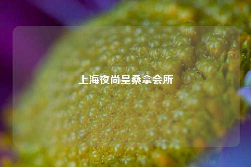 上海夜尚皇桑拿会所